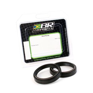 Par Retentor Bengala 43X53X9,5 KTM 00/02 BR Parts
