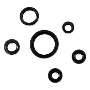 Retentor Motor Completo DRZ 400 00/07 Athena