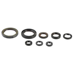 Retentor Motor Completo CRF 150R 07/10 Athena