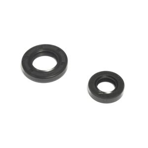 Retentor Motor Completo TTR 230 05/07 Athena