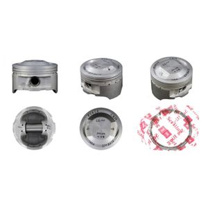 Pistão CRF 230 Taxado Folga 004 66MM Force Cam