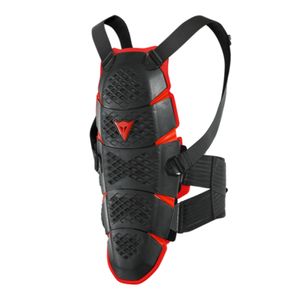 Protetor de Coluna Dainese Pro-Speed Back